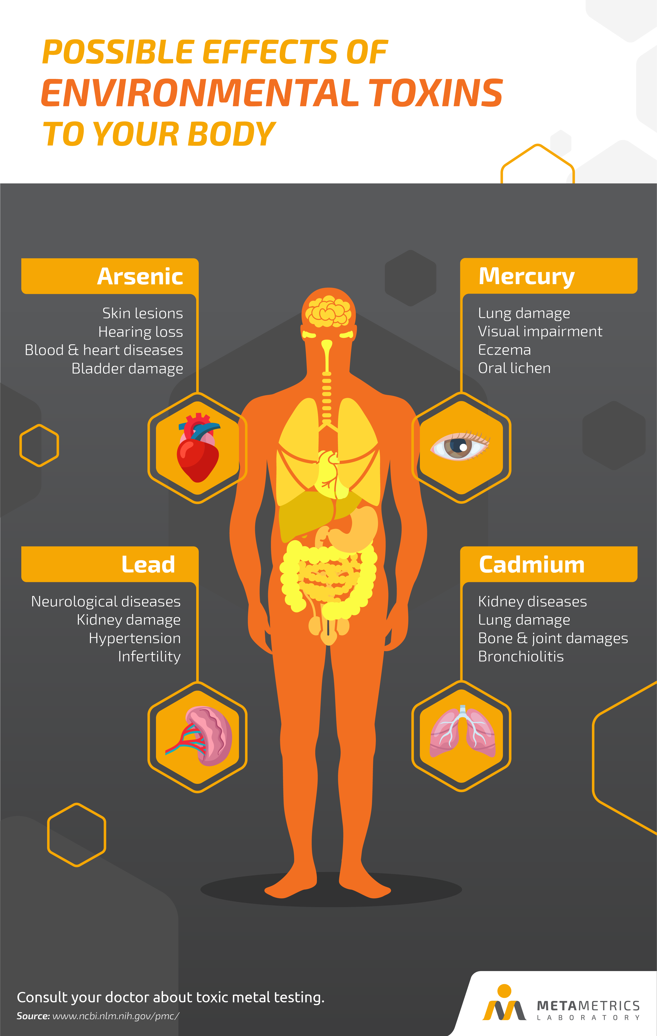 metametrics-toxicity-around-us-infographics